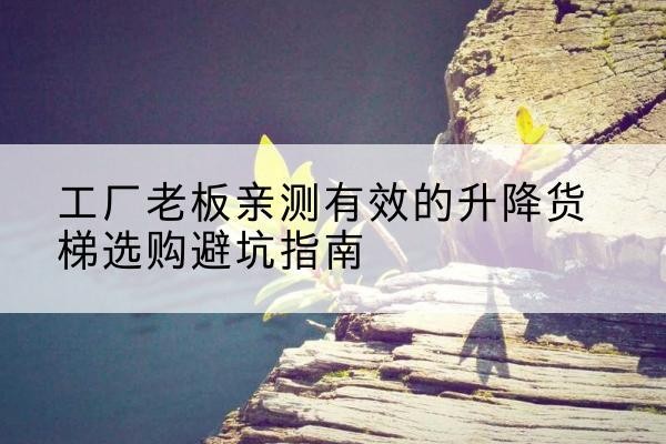 应城升降货梯怎么选-工厂老板亲测有效的升降货梯选购避坑指南
