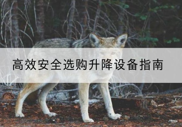 应城升降货梯厂家推荐-*安全选购升降设备指南