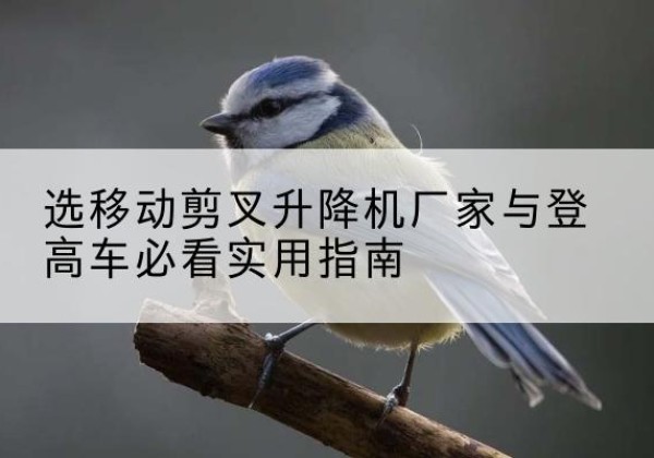 应城电动升降机厂家-选移动剪叉升降机厂家与登高车必看实用指南