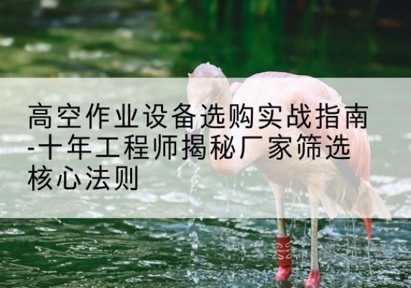 应城剪叉式升降机厂家-高空作业设备选购实战指南-十年工程师揭秘厂家筛选核心法则