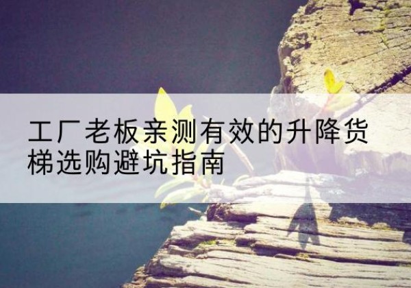 应城升降货梯怎么选-工厂老板亲测有效的升降货梯选购避坑指南
